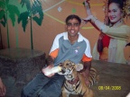 Neeraj arya feedind lion 1