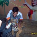 Neeraj arya feeding lion