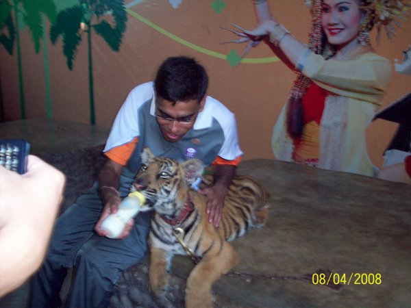 Neeraj arya feeding lion.jpg