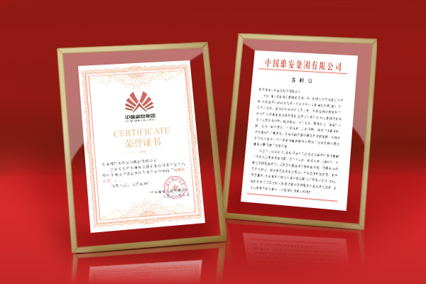 智臻服务 雄安点赞——友谊咨询雄安商务服务中心项目喜获点名表扬