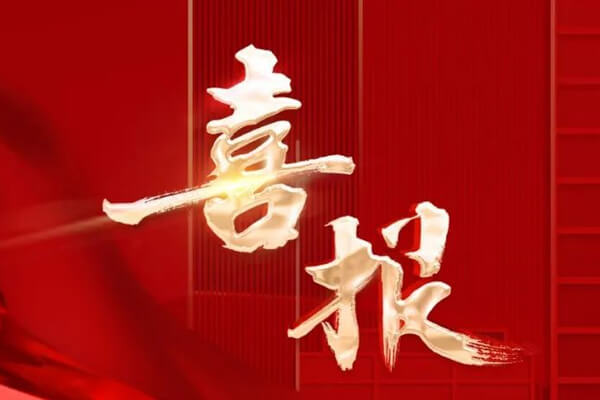 佳信频传 | 中国尊龙官方专业服务喜获雄安新区赞誉